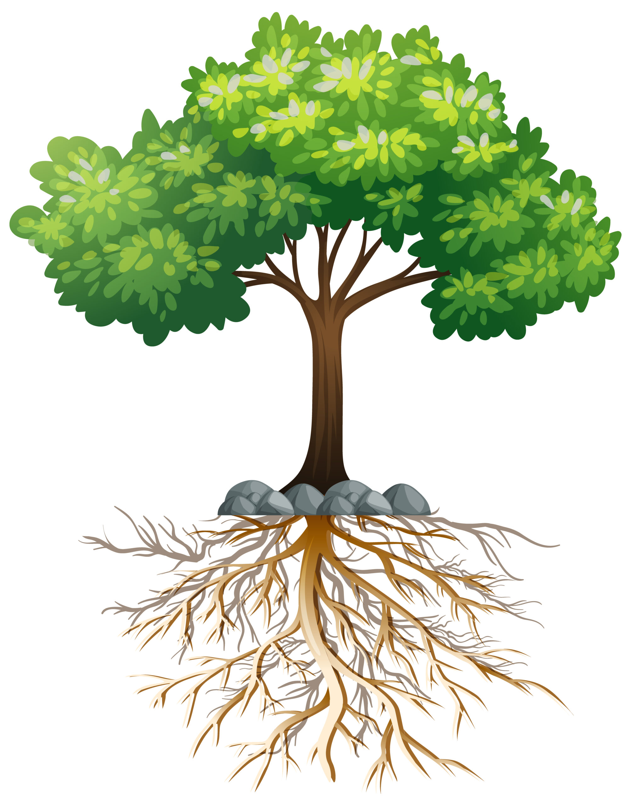 Arbre avec racines invisibles